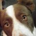 Ryan Bolz - Facebook