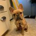 Ryan Bomar - Facebook