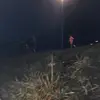 ryan_bonde - @aktahalal - TikTok