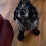 Ryan Bone - @ryan.bone.5855 - Instagram