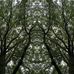 Ryan Bone - Facebook