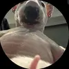 Ryan Bone - @ryan.bone89 - TikTok