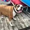 RyanBonner - @dumbanddumber9191 - TikTok