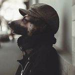 Big Dawg. - @ryanbooker__ - Instagram