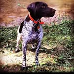 Ryan Bostick - @rsbostick - Instagram