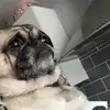 ryan.bourn - @ryan.bourn - TikTok