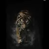 Ryan Boylan - @ryanboylan06 - TikTok