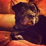 Ryan Bracewell - @ryan.bracewell - Instagram