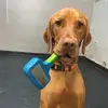 ryanbracewell245 - @ryanbracewell245 - TikTok