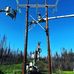 Ryan Brady - Facebook