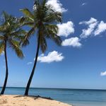 Ryan Braithwaite - @ryan_braithwaite - Instagram