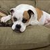 Ryan Breault - Facebook