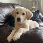 Ryan Bresnahan - @rbres7 - Instagram