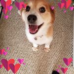 Ryan Brice - @rbrice_brice_baby - Instagram