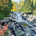 Ryan Briese - @brieseryan - Instagram