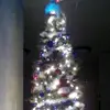 ryan.bill - @ryan.bill - TikTok