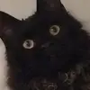 ryanbrindle07 - @ryanbrindle07 - TikTok