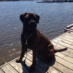 @ryanbristow - Instagram