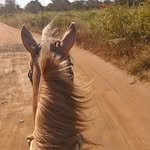 Ryan Brito - @ryan_neres_vqr - Instagram