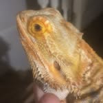 Alexander james ryan britten - @demon_tofu1 - Instagram