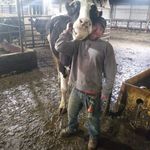 Ryan Brunner - @brunnerryan - Instagram