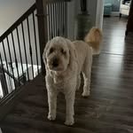 Ryan - @ryan_buckler313 - Instagram