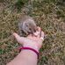 Ryan Bui - Facebook
