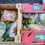 ryan burt - @burts_farm - Instagram