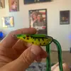 ryanburt444 - @ryanburt444 - TikTok
