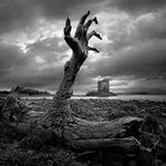 Ryan Buskirk - @ryan_buskirk - Instagram