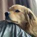 Ryan Callender - Facebook