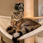 Ryan Calvin van Geijtenbeek - @ryan_van_g - Instagram