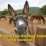 ryan cardwell - @ryhan40232 - Instagram