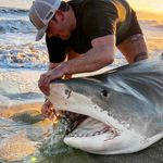 Ryan A. Carmody - @ryan_carmody_ - Instagram