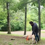 Ryan Carruthers - @carruthers.ryan - Instagram