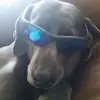 ryancarstens607 - @ryancarstens607 - TikTok