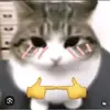 Ryan Castellon - @ryan.castellon8 - TikTok