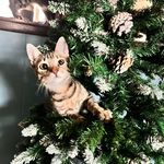 Ryan Catlin - @r.catlin74 - Instagram