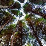 Ryan Chambers - @ryanchambers_photography - Instagram