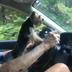 Ryan Chamblee - Facebook