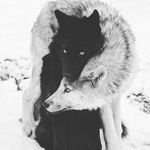 Ryan Chambliss - @yng_prep - Instagram