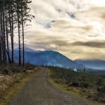 Ryan Champagne - @r.m.champagne - Instagram