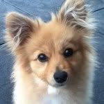 Ryan Chappell - @ryan_chappell1 - Instagram