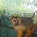 Ryan Chappell - Facebook