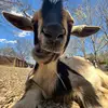 Ryan chase - @ryan_chase____ - TikTok