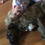 Ryan Chastain - @ryan.chastainnnnnn - Instagram