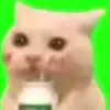 貓meme小劇場🐈 - @ryanchen0127 - TikTok