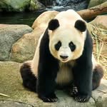 Ryan Chen - @ryanchen_.c - Instagram