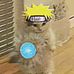 Ryan Chen - Facebook