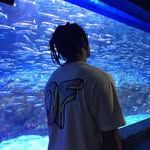 Ryan Chi - @ryan_chi_54 - Instagram